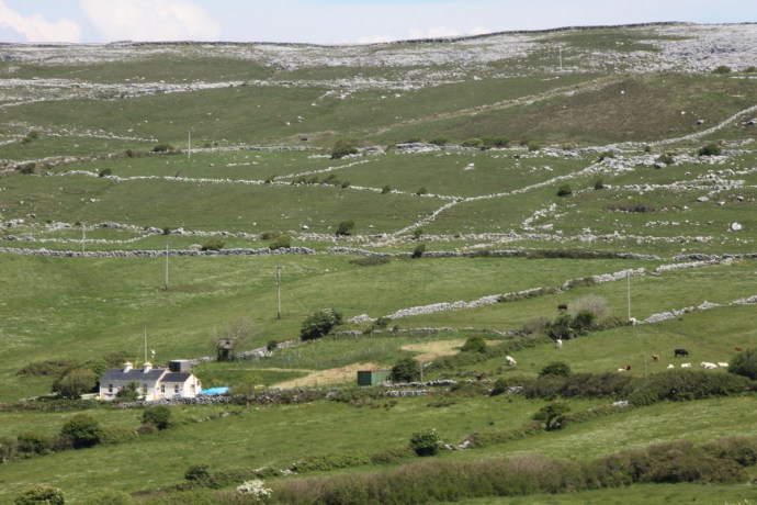 Rural landscape.  THe Burren
