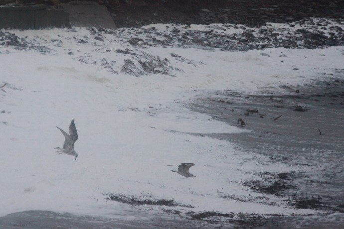 Caherush Bay. Co Clare.  