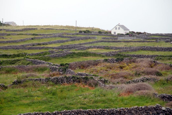 Inisheer.  Stone fields
