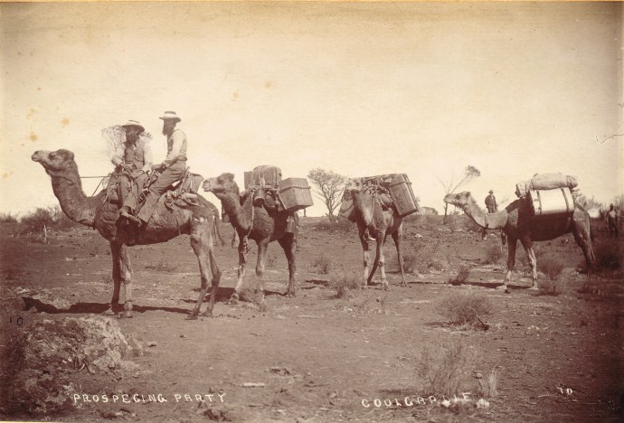 prospecing-party-coolgardie.jpg