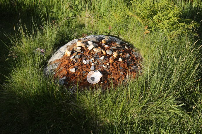 children of lir-5432