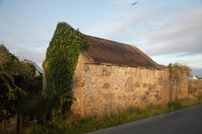 Hook Head Scenes-1789