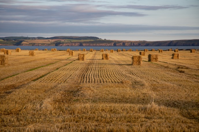 Hook Head Scenes-1815